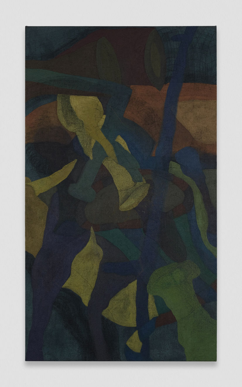 Kaveri Raina, to walk when darkness falls at noon, my tools are with me, 2025