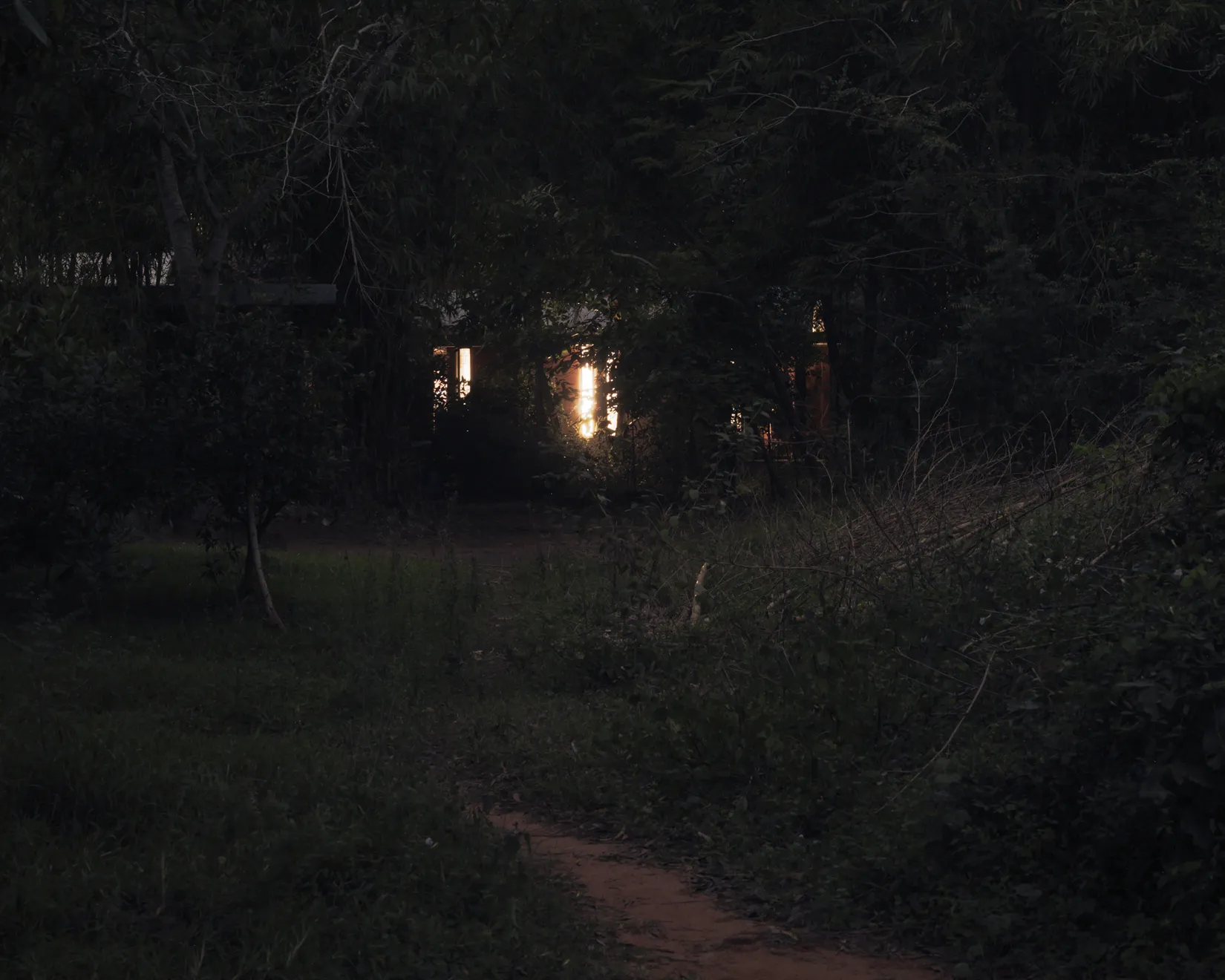 Soumya Sankar Bose, Auroville, 2026