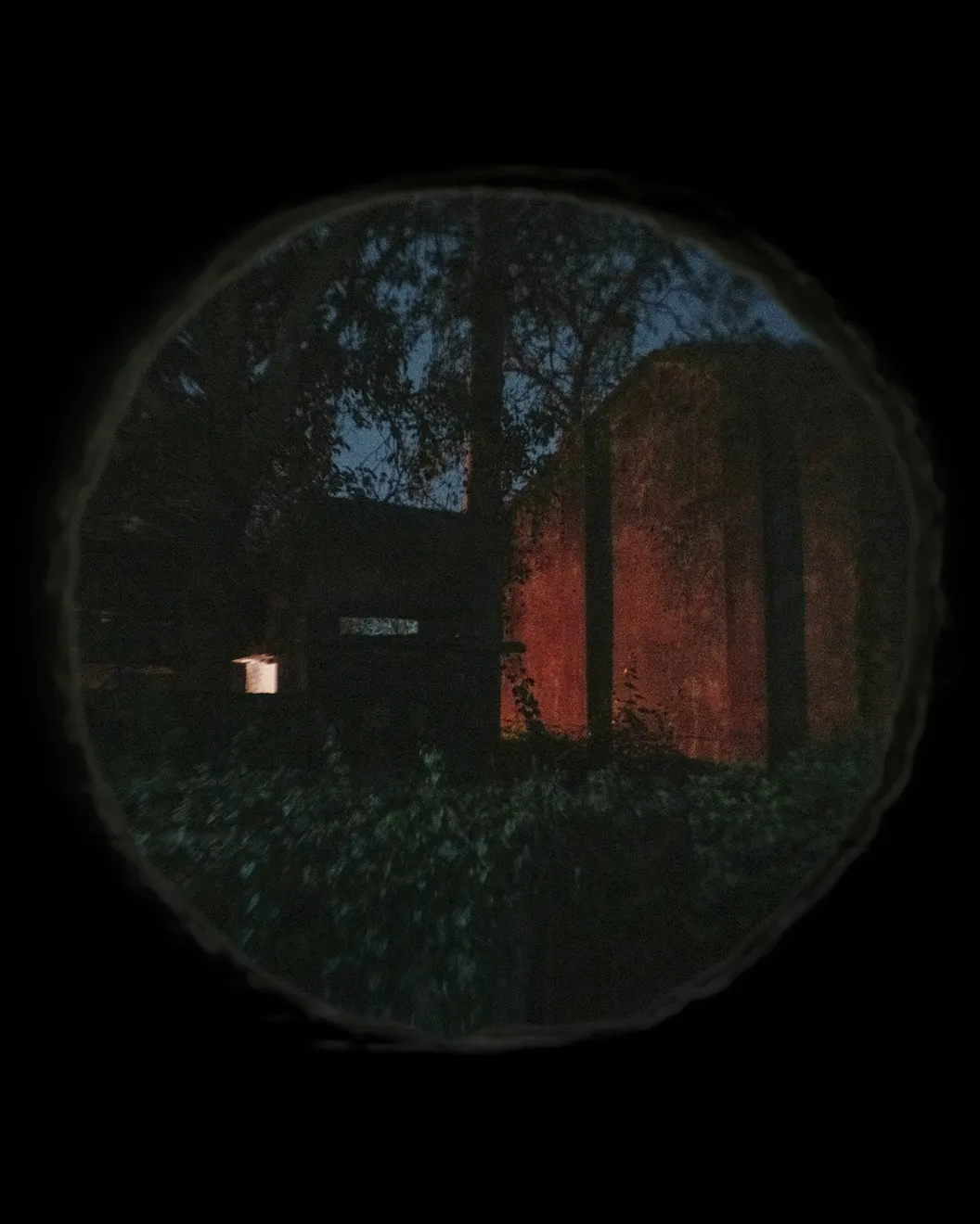 Soumya Sankar Bose, Case Study of Rabi: A life unraveling through his neighbour’s diary entries, 2026