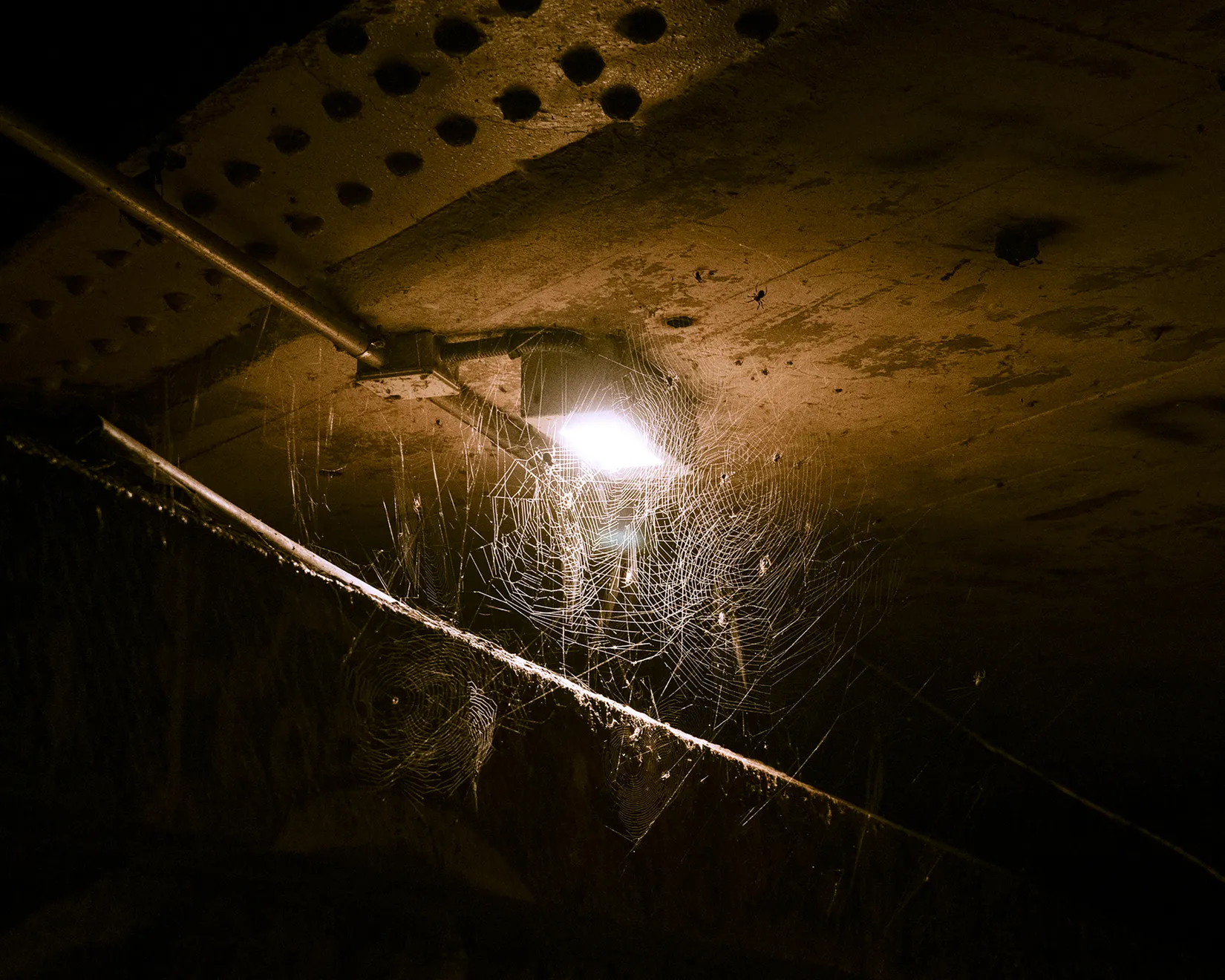 Soumya Sankar Bose, We need to talk in whispers: Case Study of an Amateur Writer - Nantes, 2026