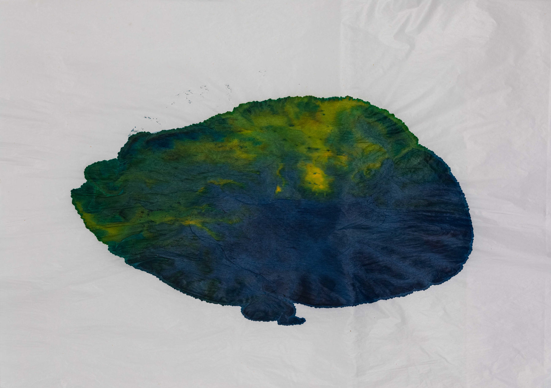 Ayesha Sultana, Inhabiting Our Bodies 21, 2024