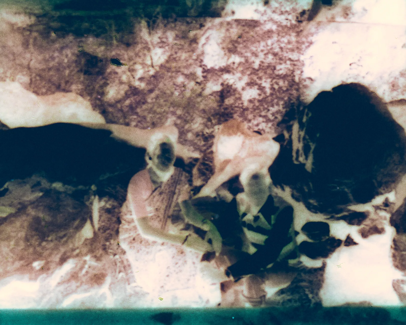 Soumya Sankar Bose, We need to talk in whispers: Case Study of an Amateur Writer - Nantes, 2026