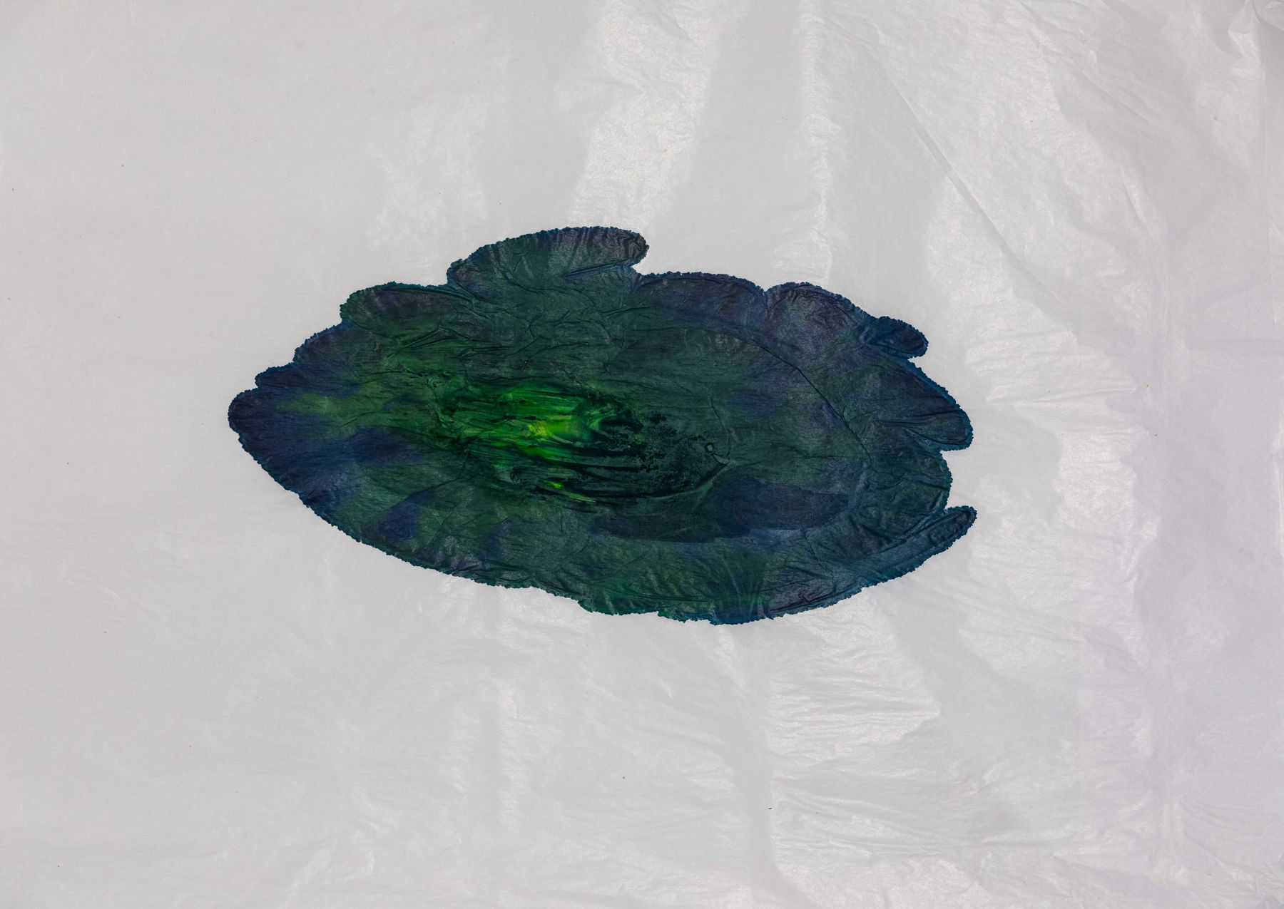 Ayesha Sultana, Inhabiting Our Bodies 25, 2024