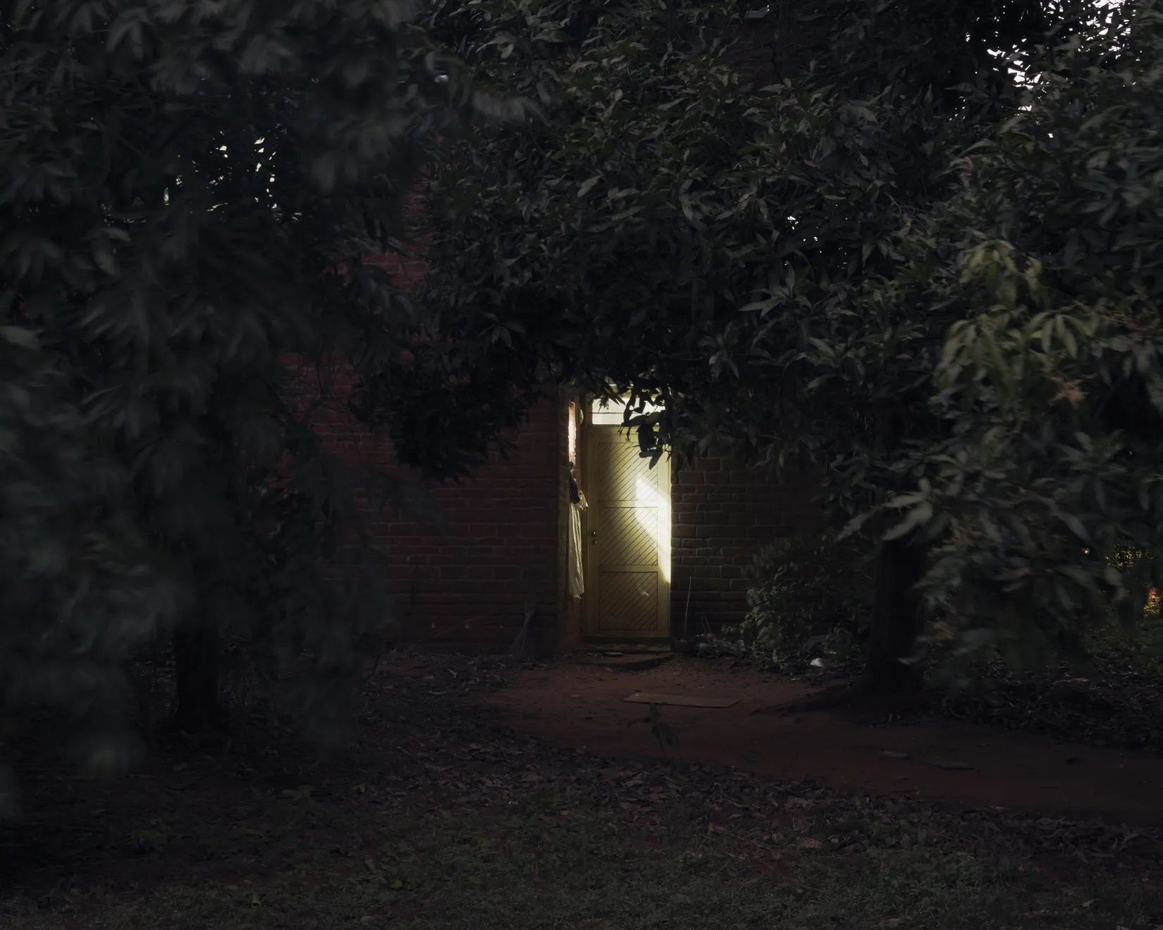 Soumya Sankar Bose, Auroville, 2026