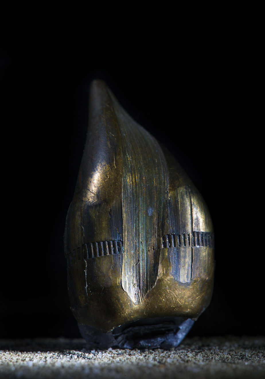 Georges Yammine, Silent Narratives of Bullets, 2021