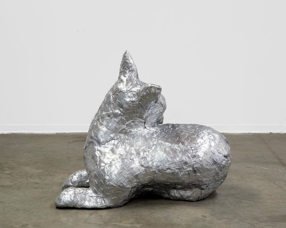 Josh Rabineau, Pretty & Petrified, 2024