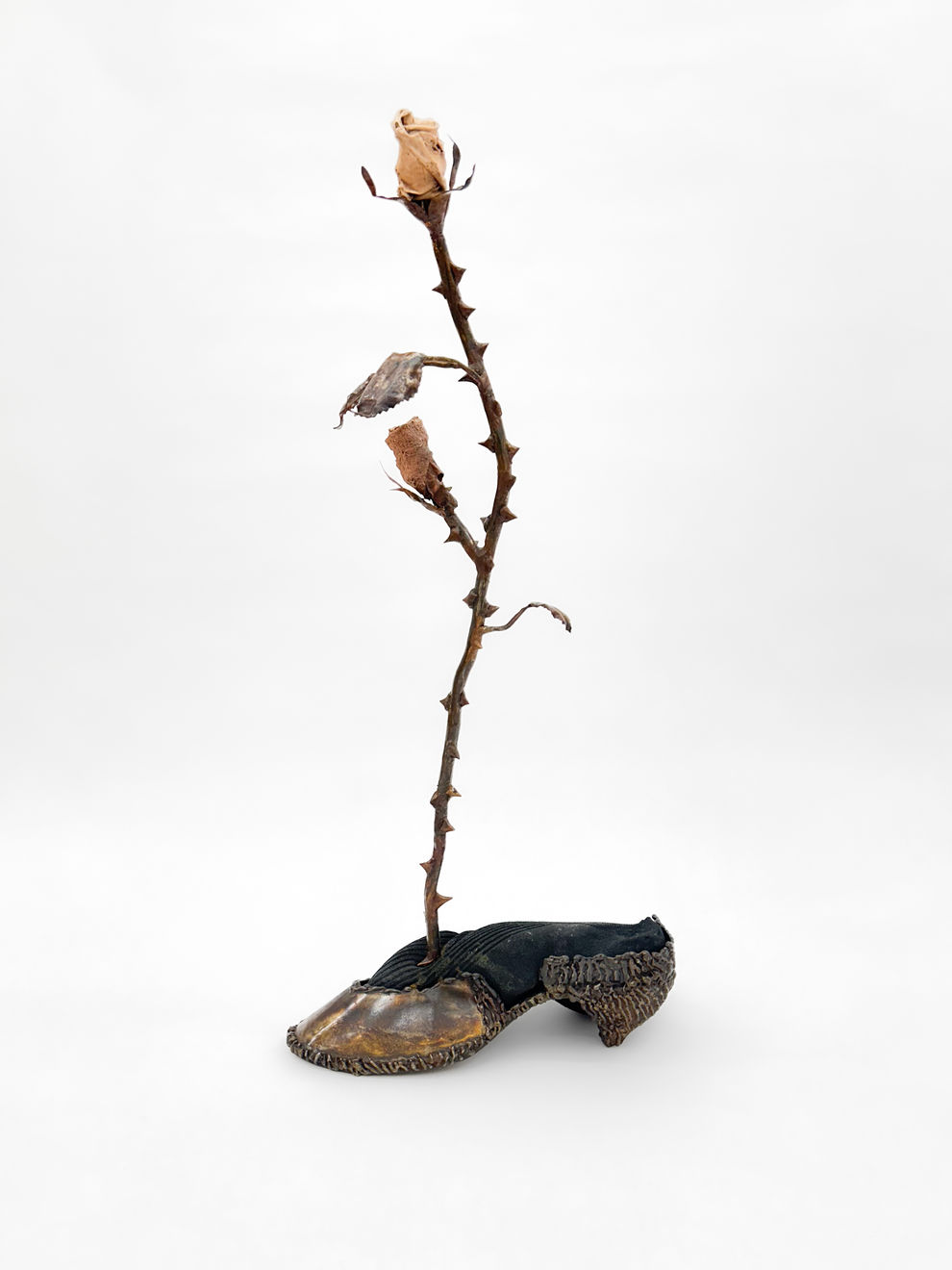 Tyler Christopher Brown, An imagination rooted in a concrete reality, 2025