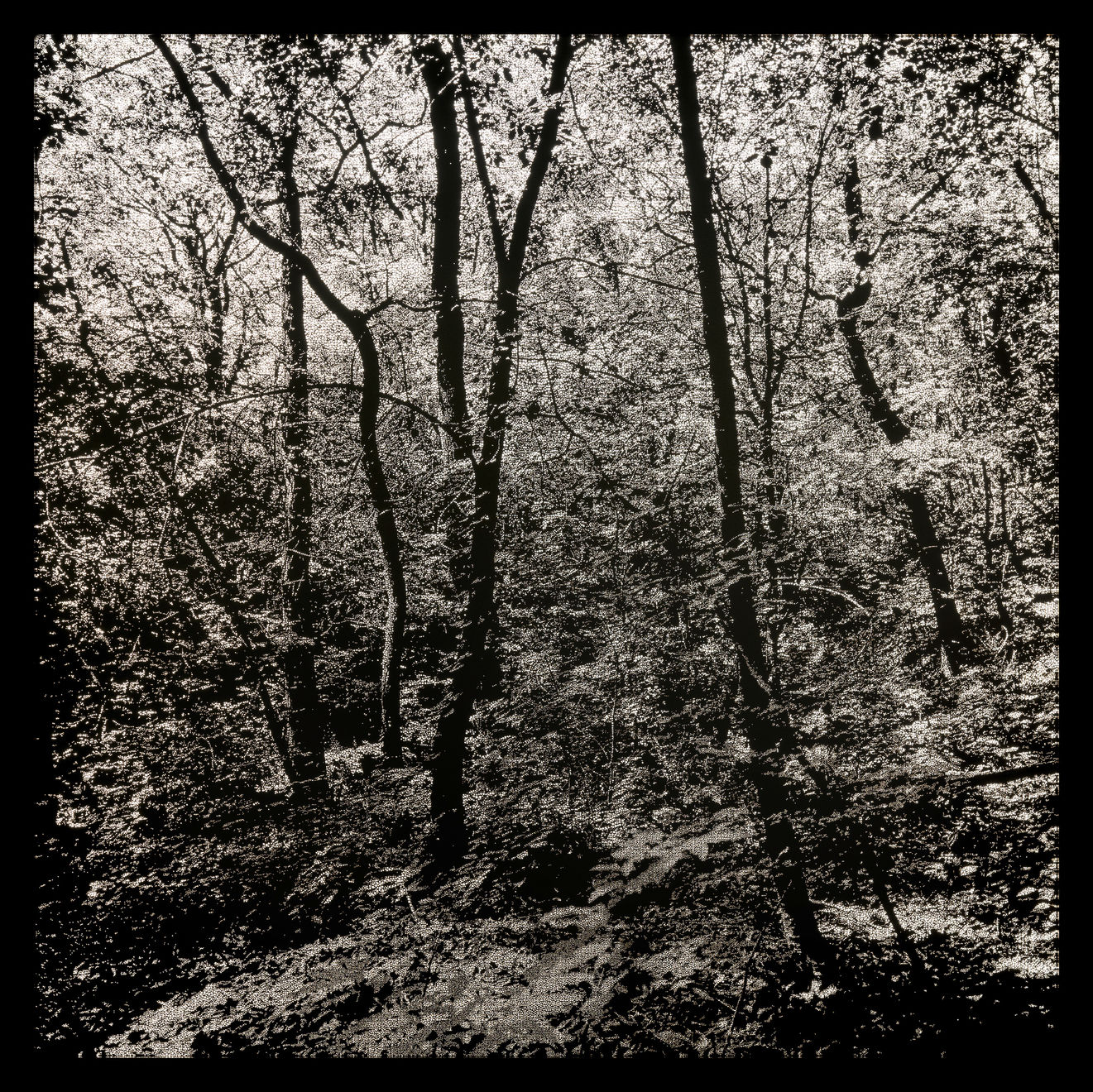 Choi Soowhan, Emptiness - Ansan 05, 2024