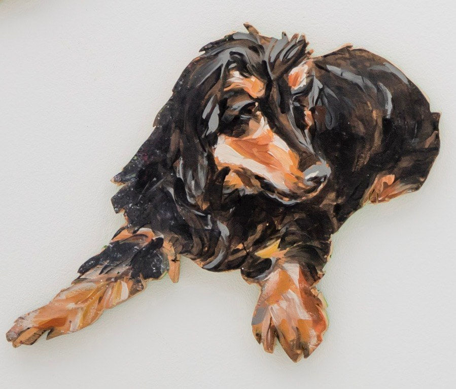 Juan Pedro Ayala, Perros 10, 2012