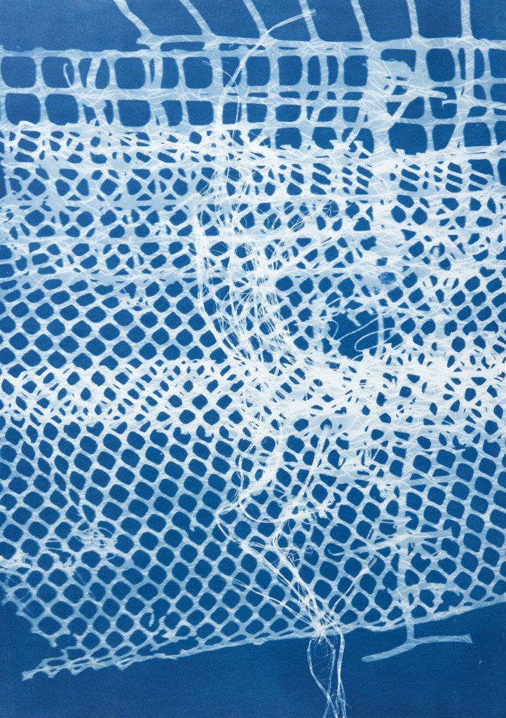 César Schofield Cardoso, Alga Set 2, 2023