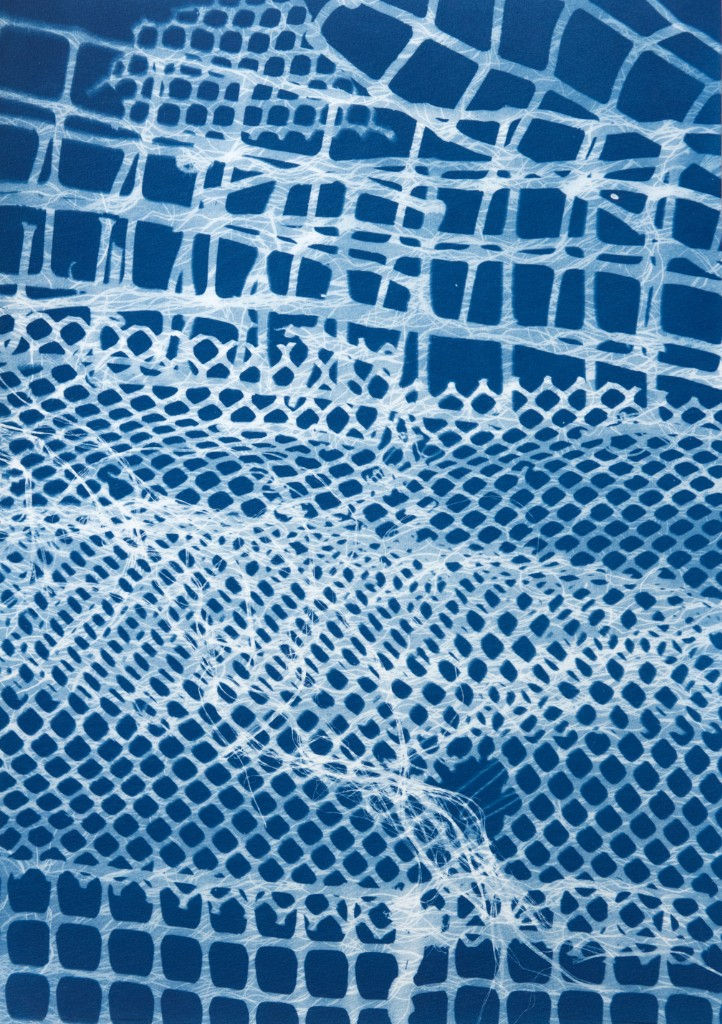 César Schofield Cardoso, Alga Set 2, 2023