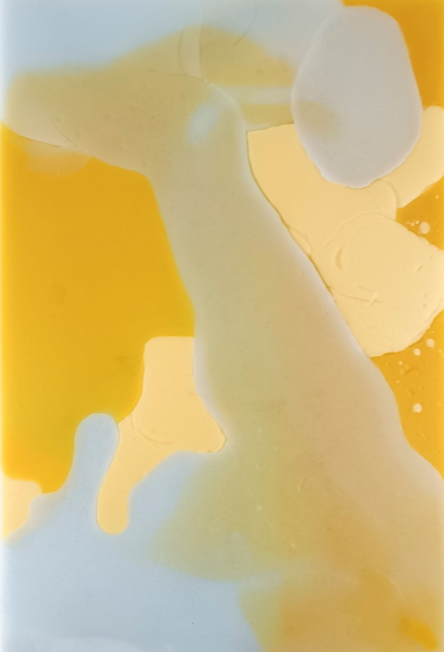 Laura Salguero, 007/800/007, 2021