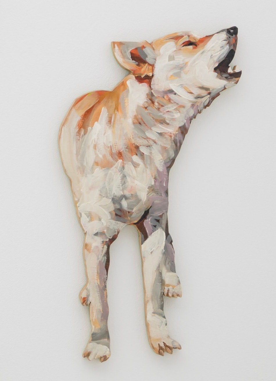 Juan Pedro Ayala, Perros 26, 2012