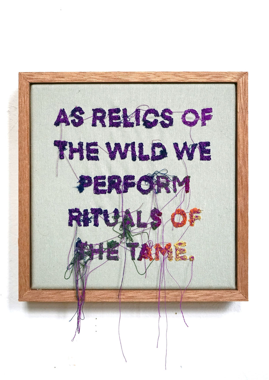 Lawrence James Bailey, Rituals of the Tame, 2025