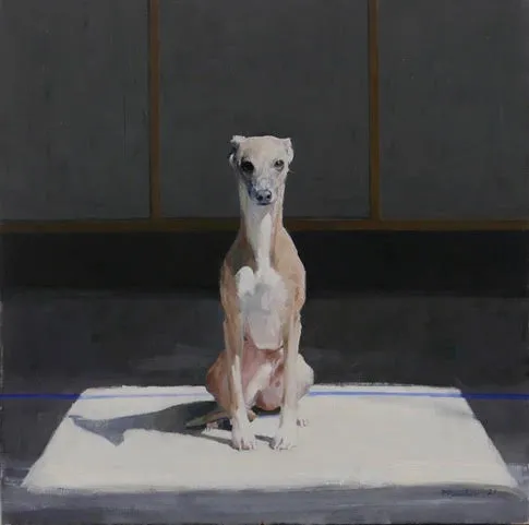 Pieter Pander, Hondje in daklicht. nr. 3., 2021