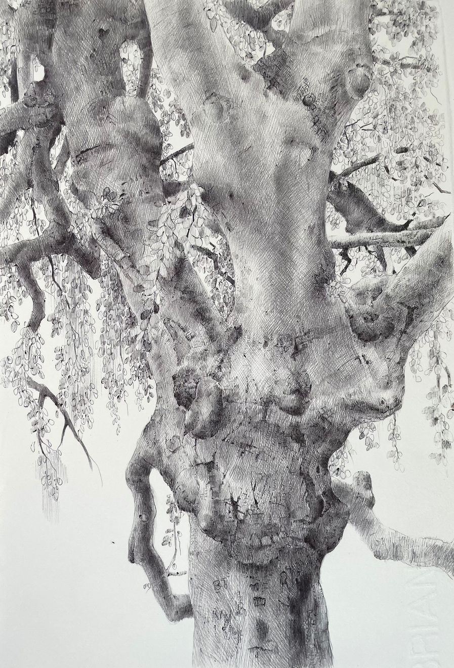 Dina Brodsky, The Overstory XIII, 2023