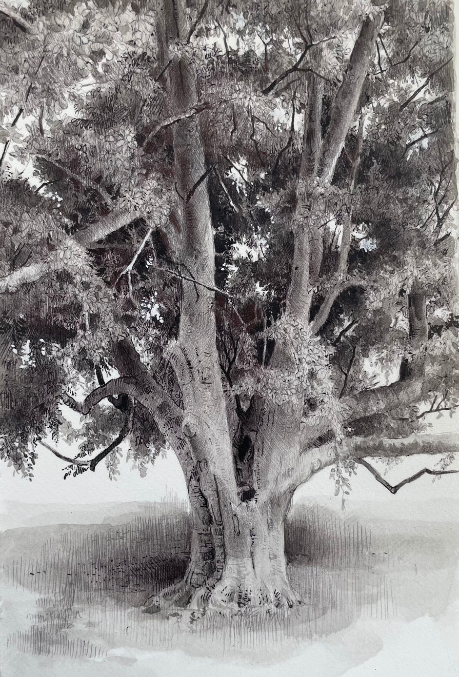 Dina Brodsky, The Overstory V, 2023