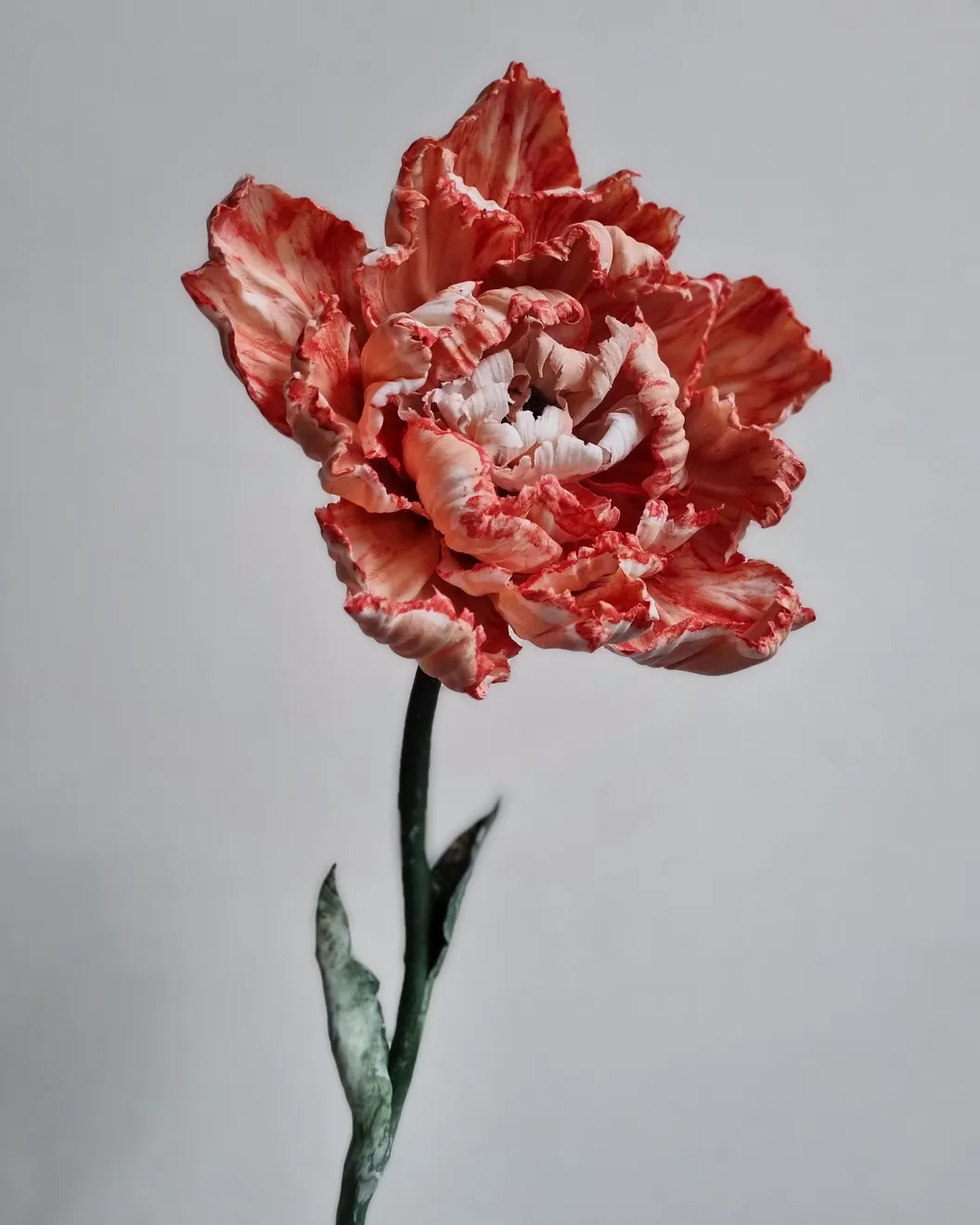 Anna Volkova, Untitled, 2021