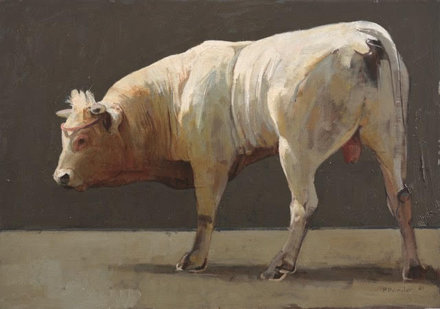 Pieter Pander, Witte stier, 2021