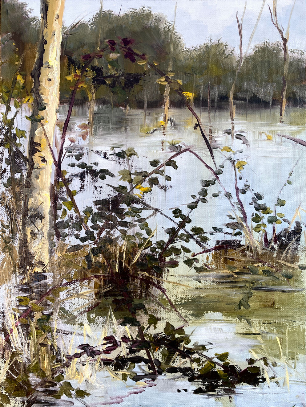 Philine van der Vegte, Watery wilderness, 2024