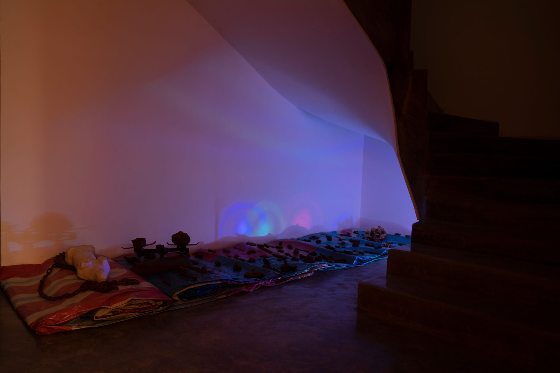 Truong Cong Tung, Portrait of a deformed symbol. Lost and found, 2014