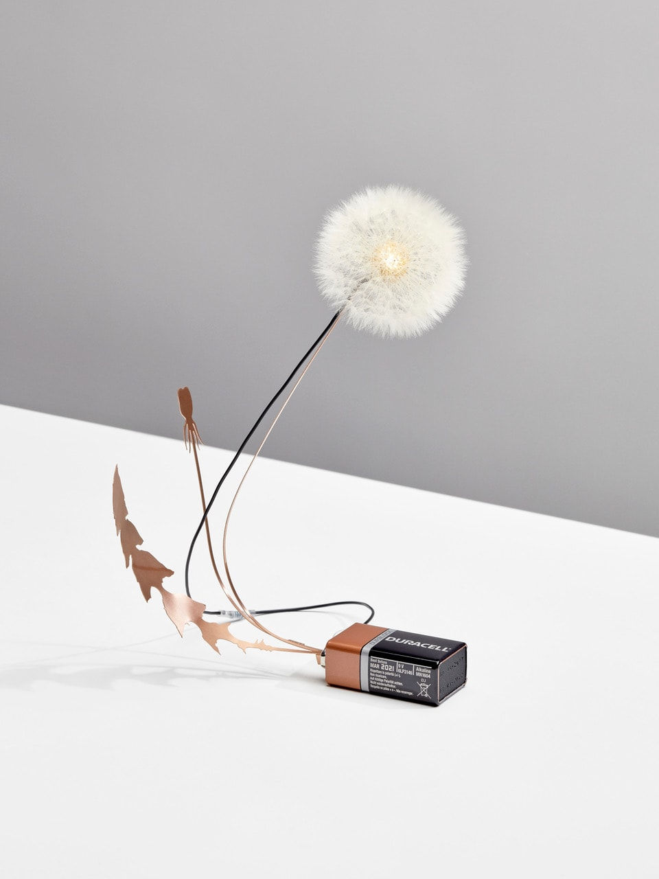 DRIFT, Dandelight, 2023