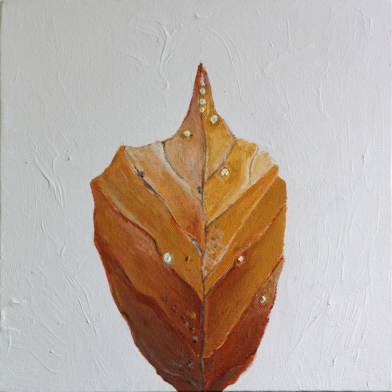 Nelun Harasgama, Pterospermum Suberifolium. Taddai. Velung I, 2025