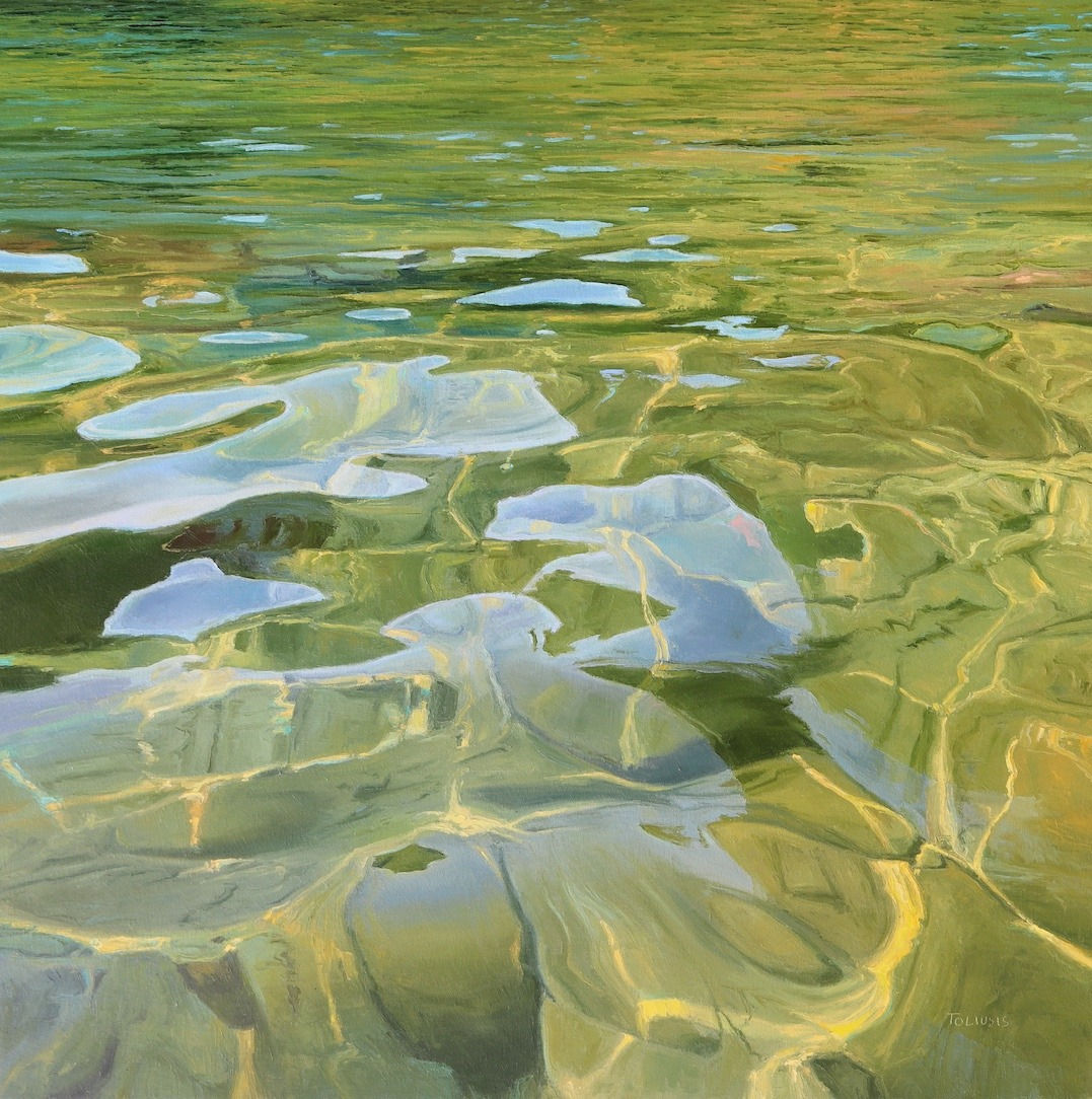 Erika Toliusis, Embracing Light