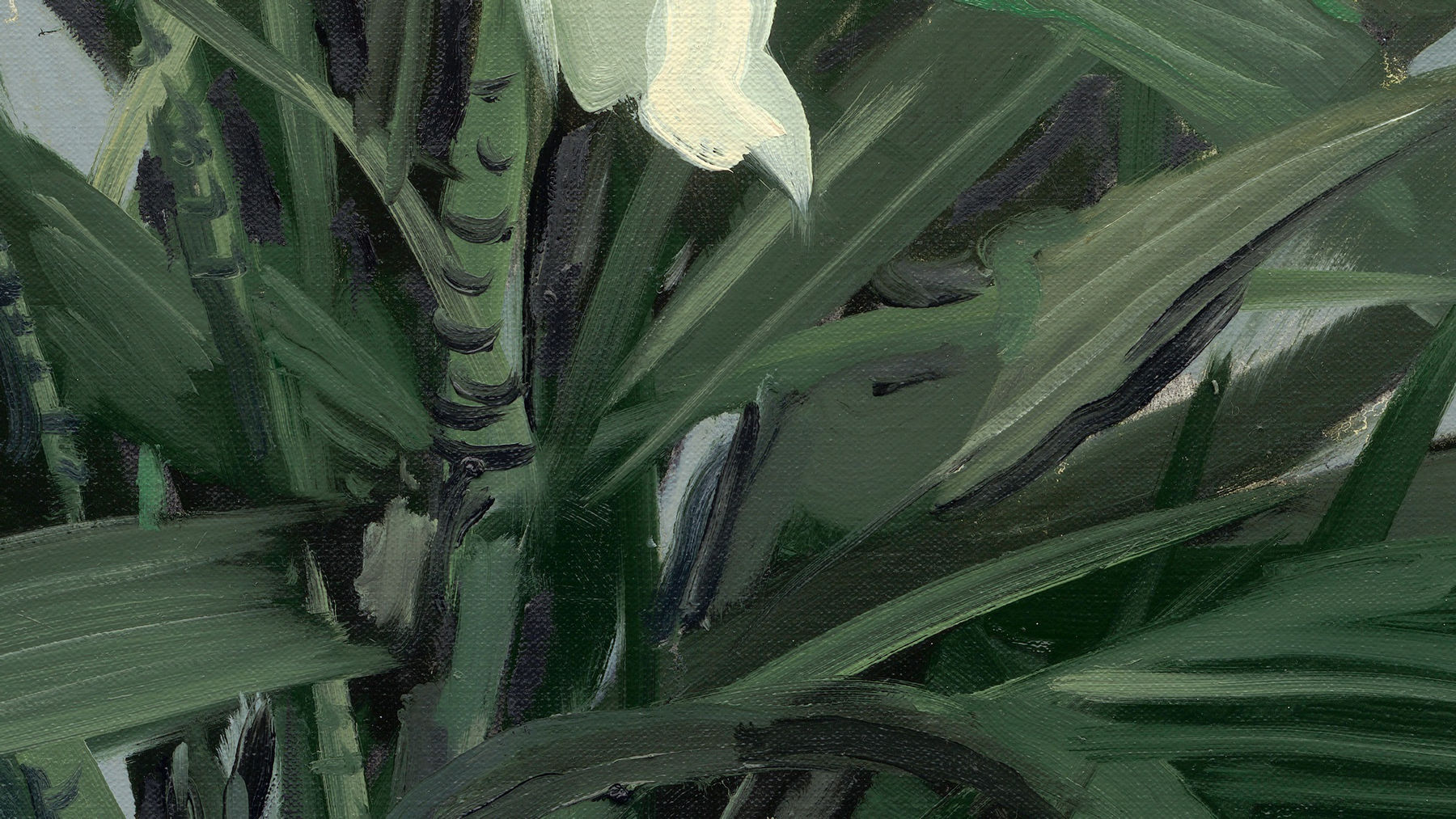 Gerard_Byrne_White_Oriental_Lilies_irish_contemporary_figurative_artist_art_gallery_dublin_ireland_painting_detail