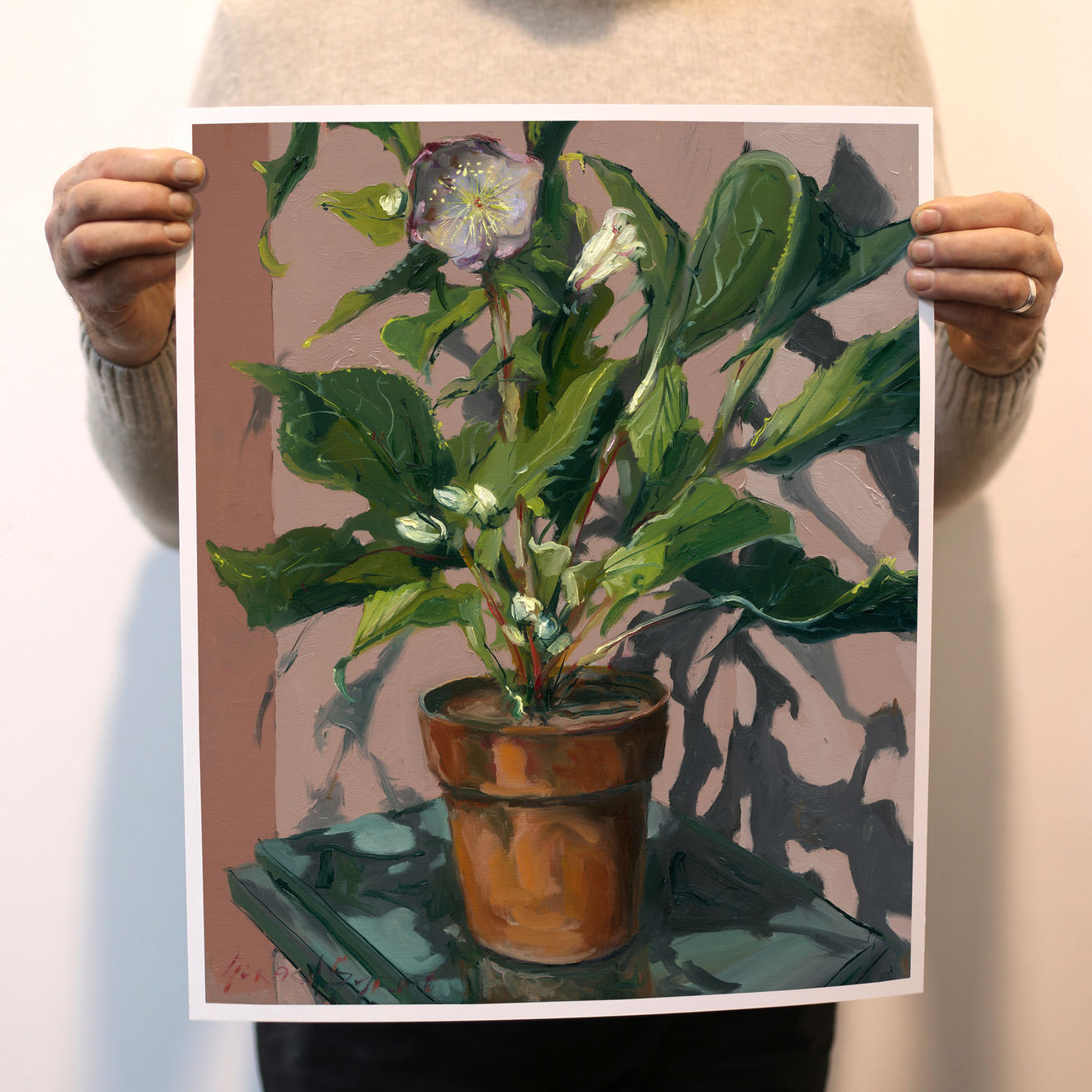 Gerard_Byrne_Pink_Sensation_Winter_Rose_limited_edition_fine_art_prints