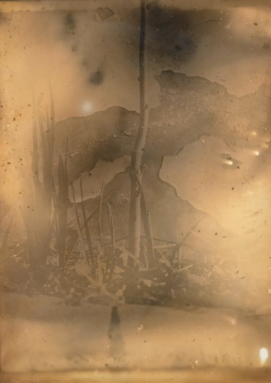 Nicolas Andry, Ville Nature 39.1, 2024