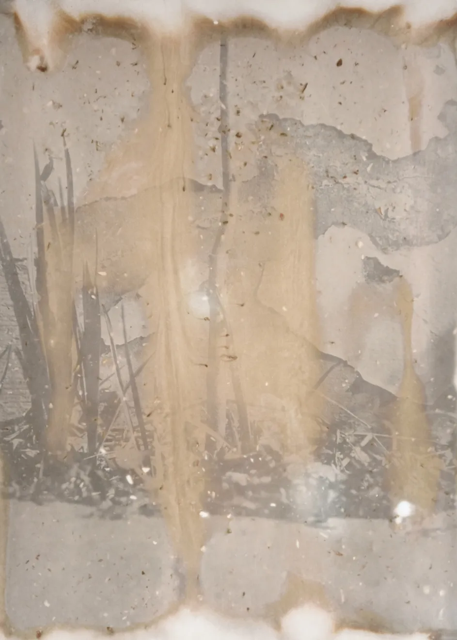 Nicolas Andry, Ville Nature 39, 2024