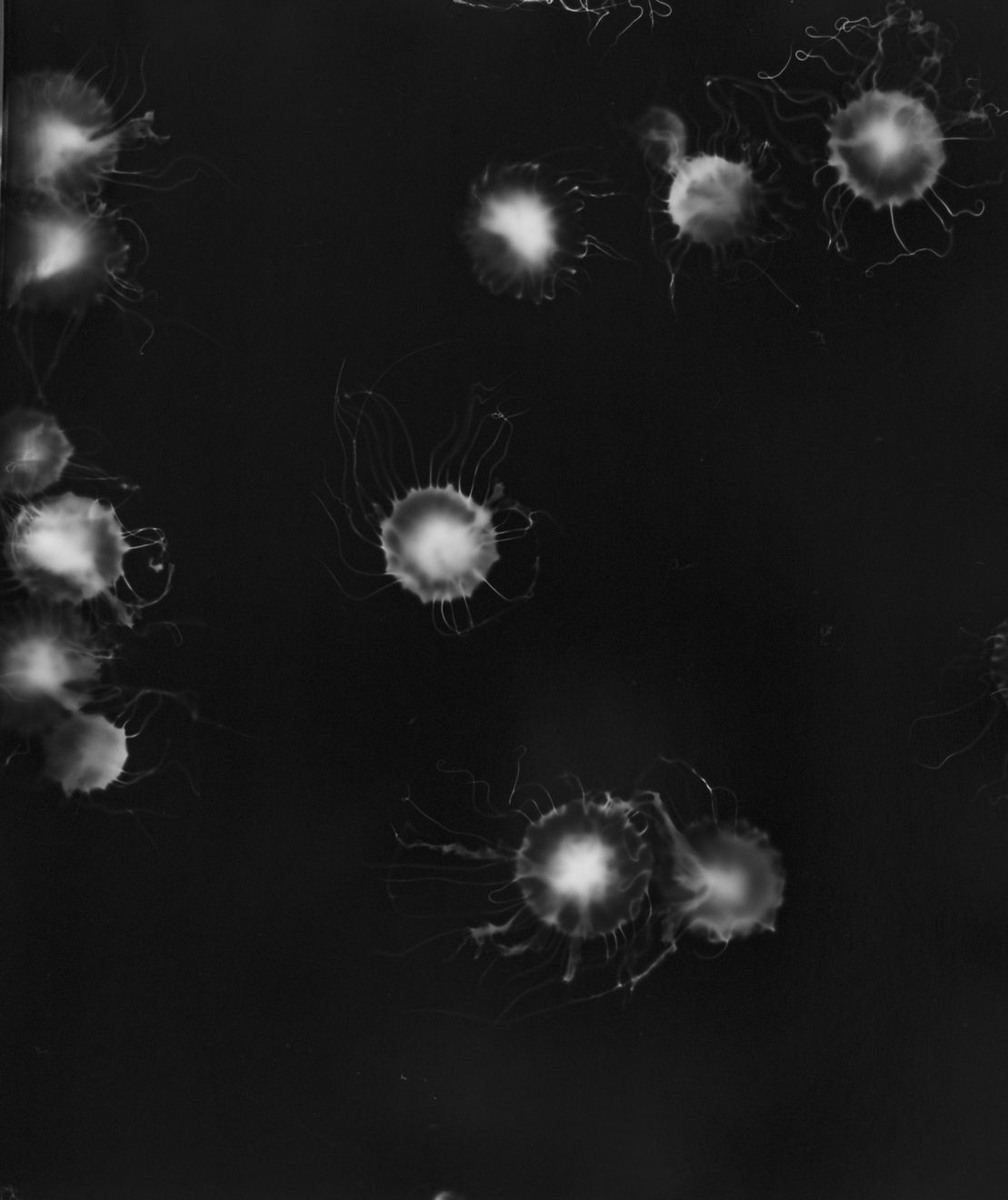 Aliki Christoforou, Perspectives submergées 9, 2024