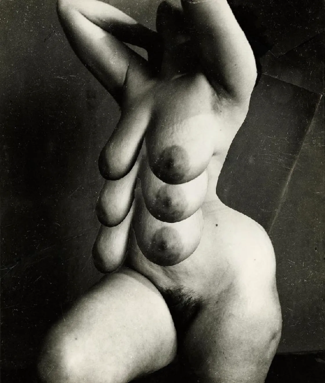 Sergiy Solonsky, Untitled, from the Bestiary series, ca. 1995