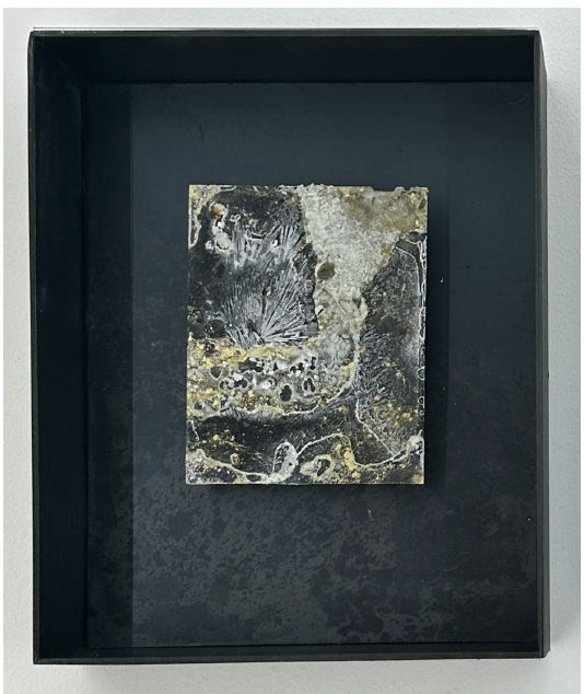 Laure Winants, Time Capsule #1, 78°, 55', 26'' N, 11°, 55', 19'' E, 2023