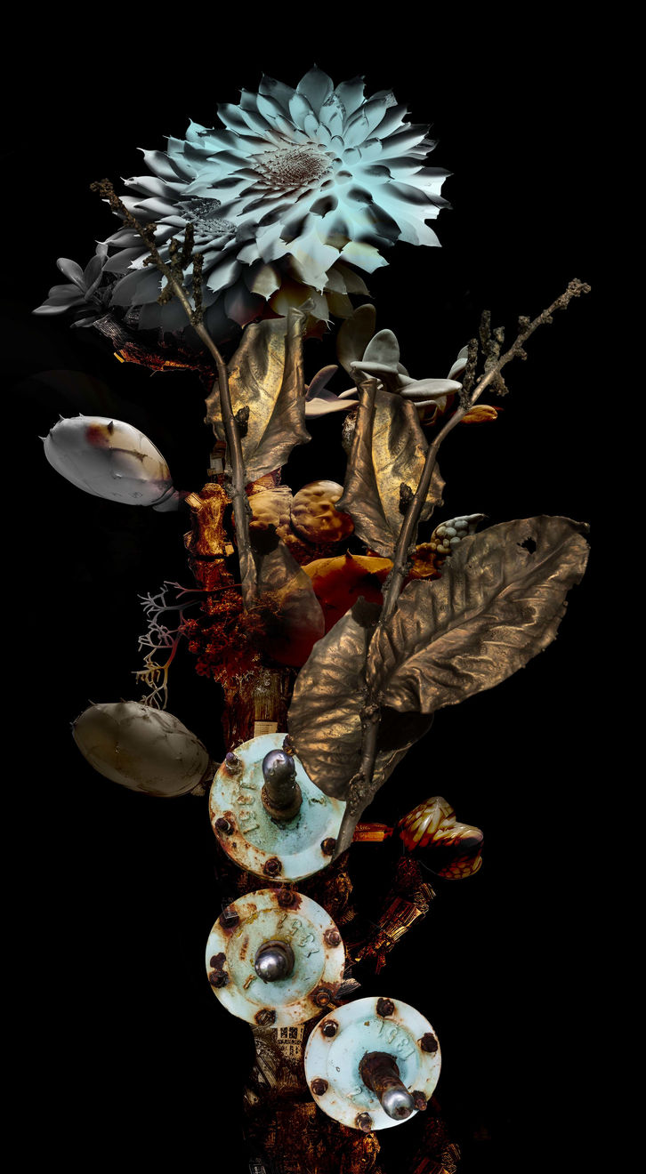 Claudia Jaguaribe, From the series Viveiro, 2024