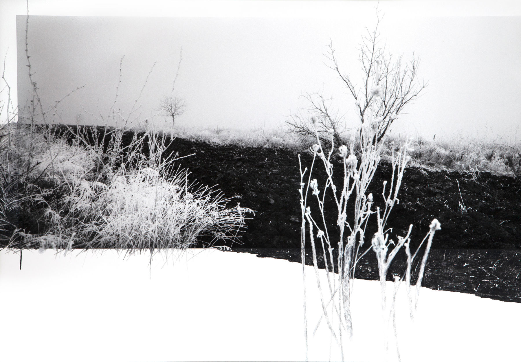 Dana Cojbuc, Strange place for sunrise #04, 2024