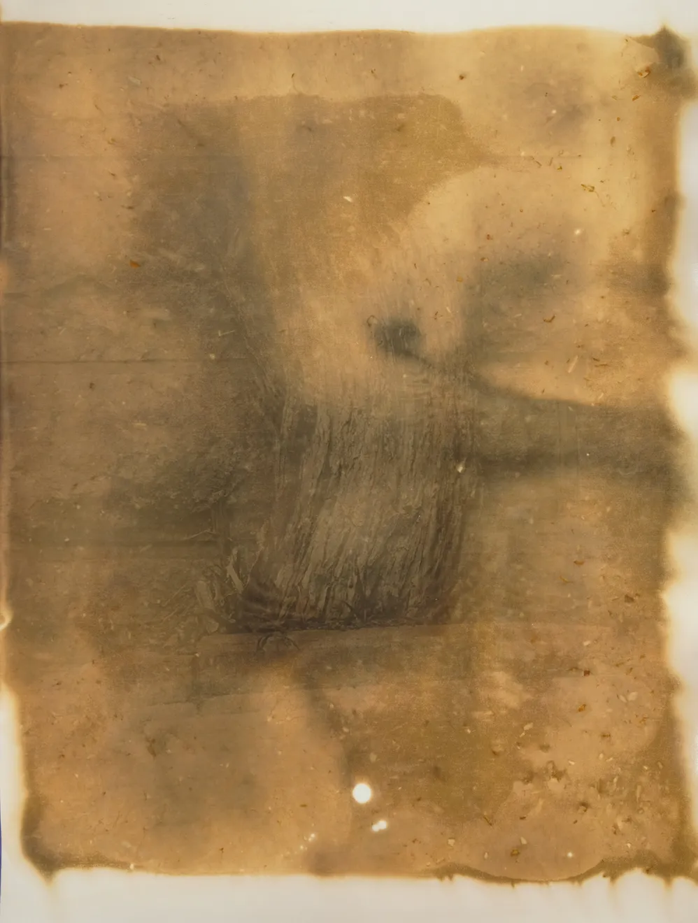 Nicolas Andry, Ville Nature 33, 2024