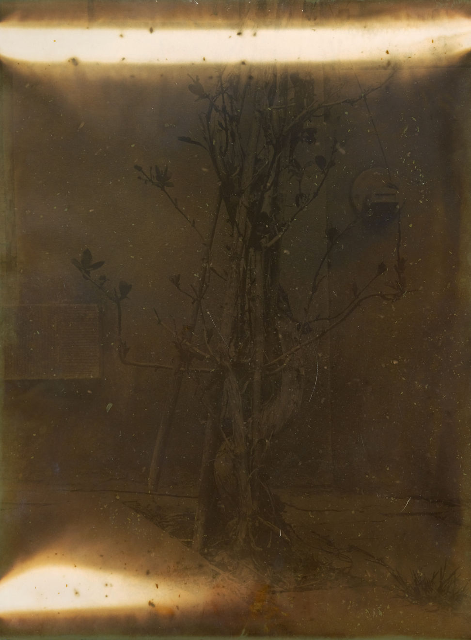 Nicolas Andry, Ville Nature 21, 2024