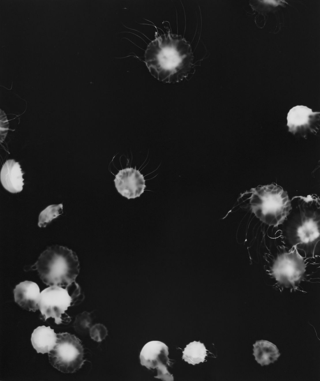 Aliki Christoforou, Perspectives submergées 5, 2024