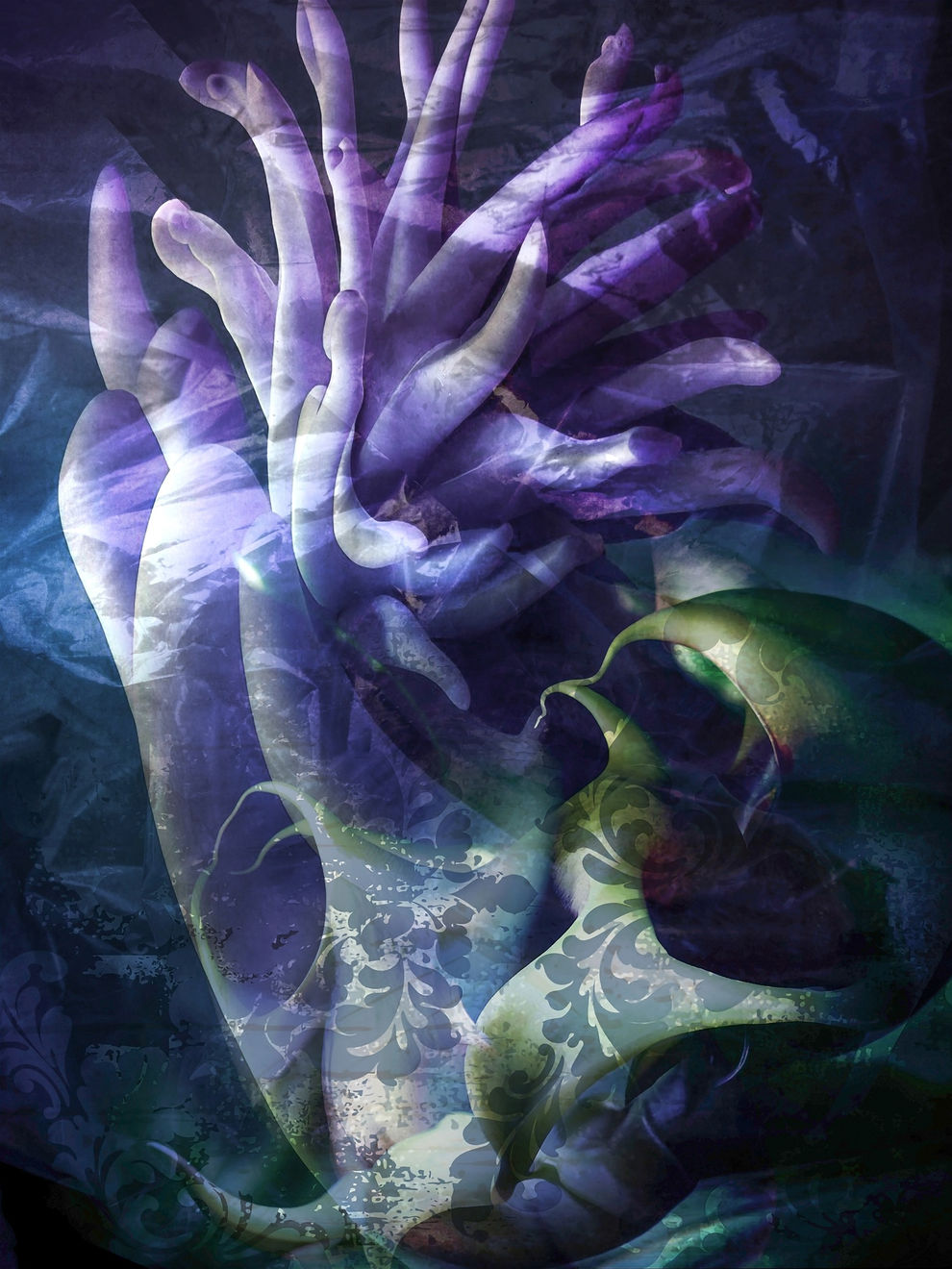 Patricia Jacomella, Silfio 4, 2024