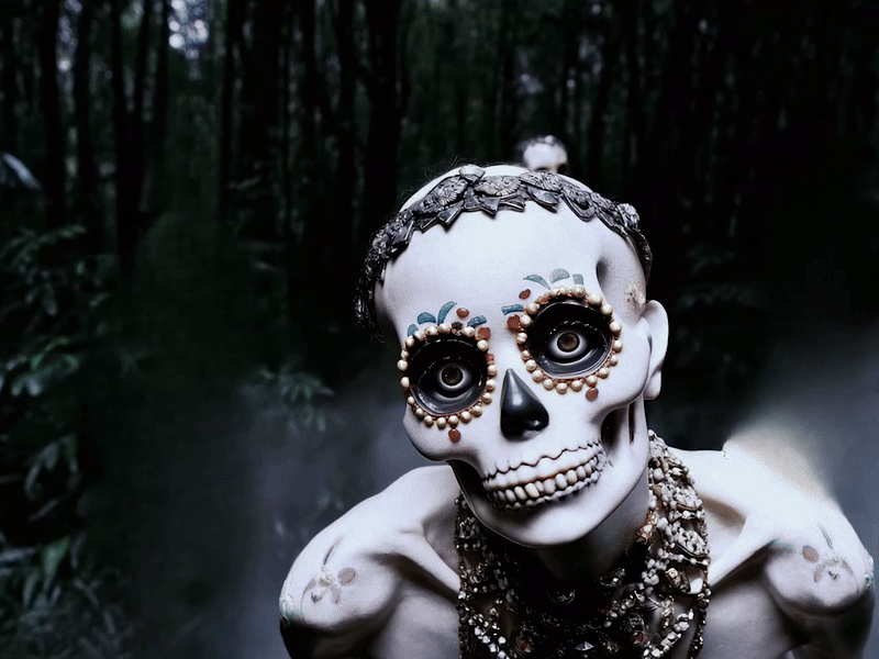 David Sheldrick, B’ak'tun | Sheldrick x Paax, 2024