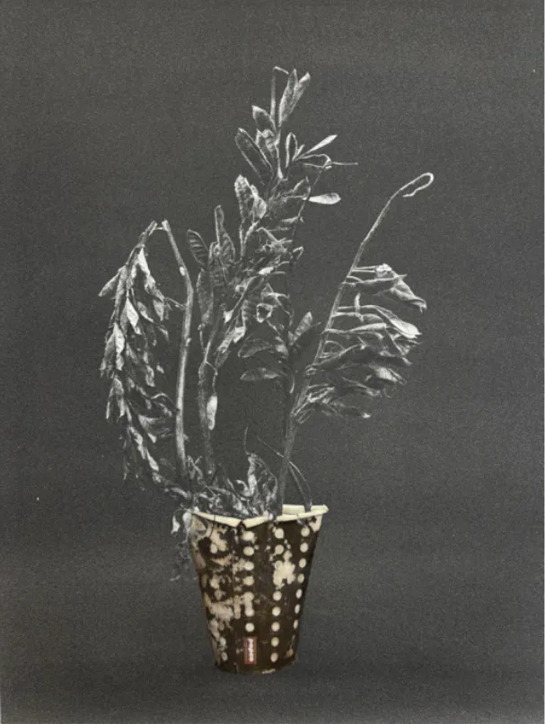 Lilja Birgisdóttir, Take away / Kaffi, 2025