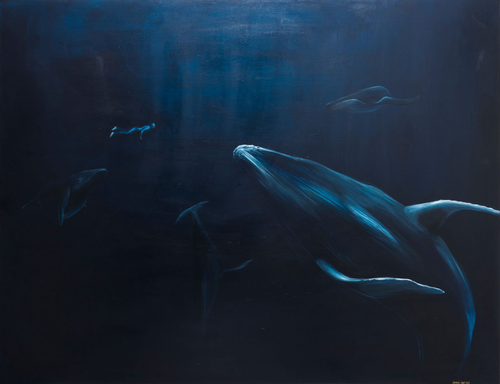 Vanesa Castillo, Encuentro con los humanos, 2024