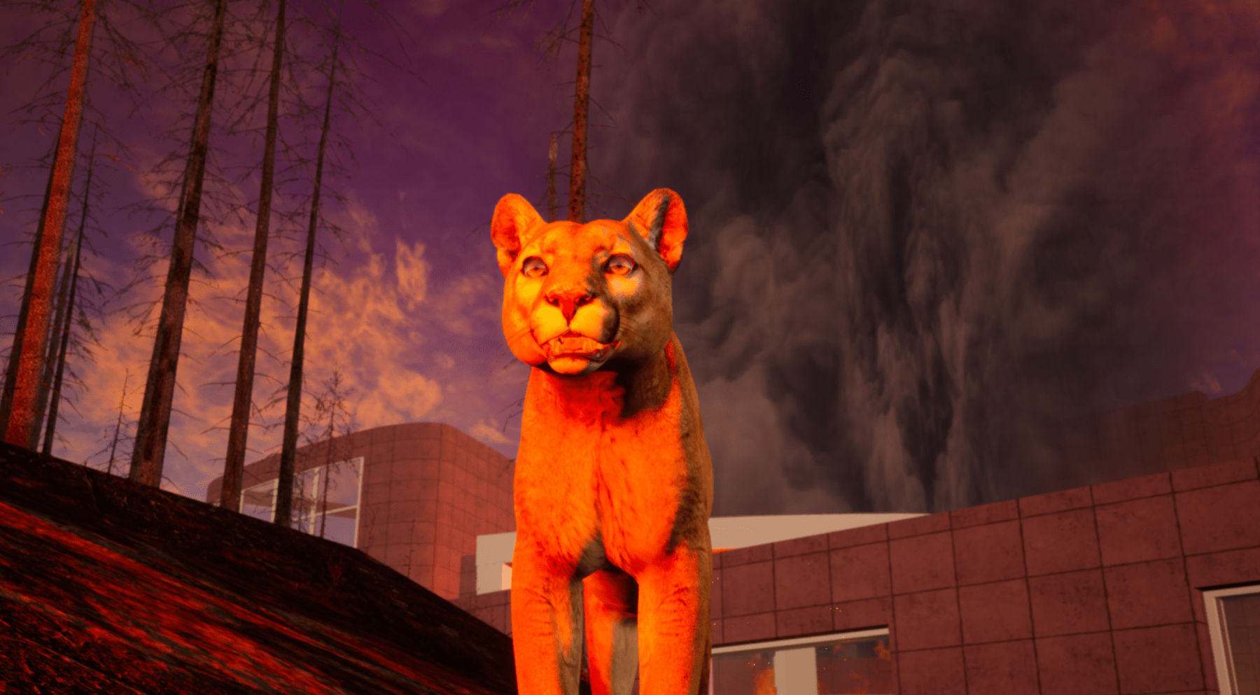 Alice Bucknell, The Alluvials: Chapter "Fire Walk With Me", 2024