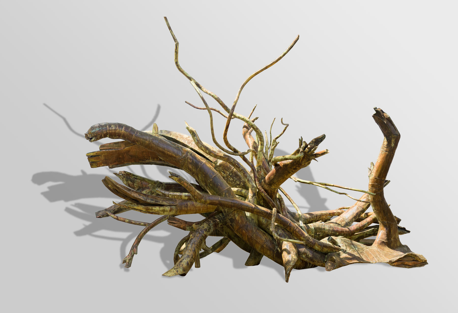 Narayan Sinha, Intimità Personale - Albero , 2025