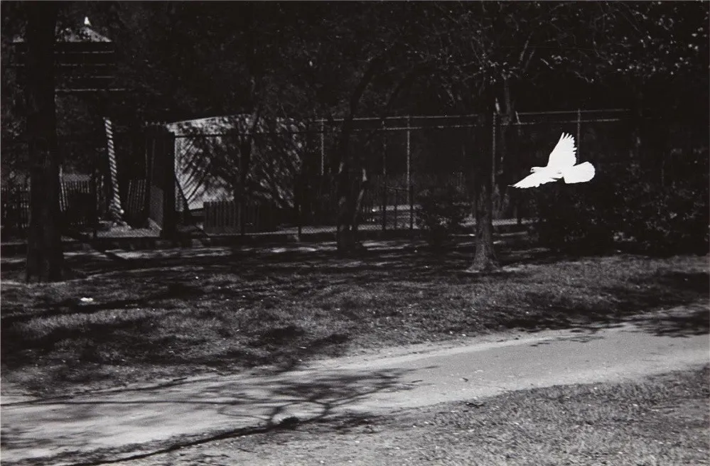 Harry Callahan, Chicago, 1954 (Unique Set of 7), 1954