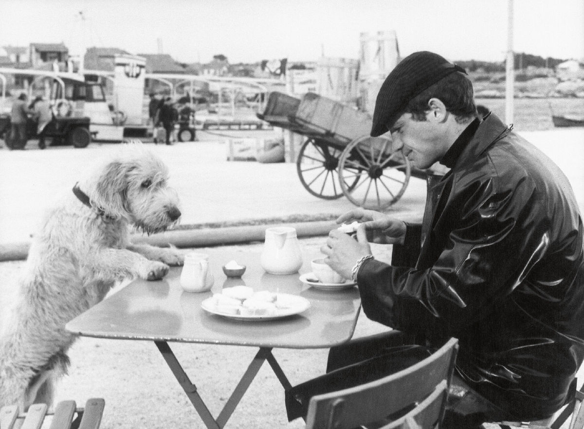 Raymond Cauchetier, Peau de Banane, Marcel Ophulse, 1963, 1963