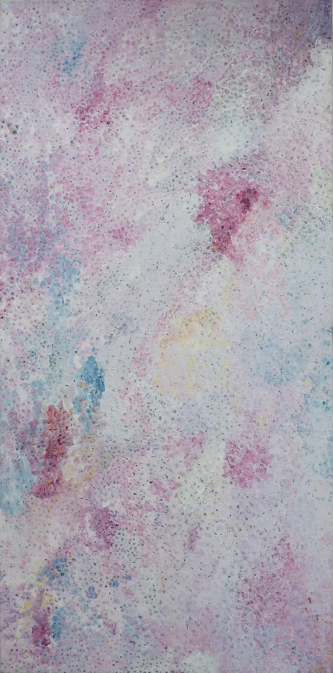 Kathleen Ngale, Anekwetj - Bush Plum, 2009