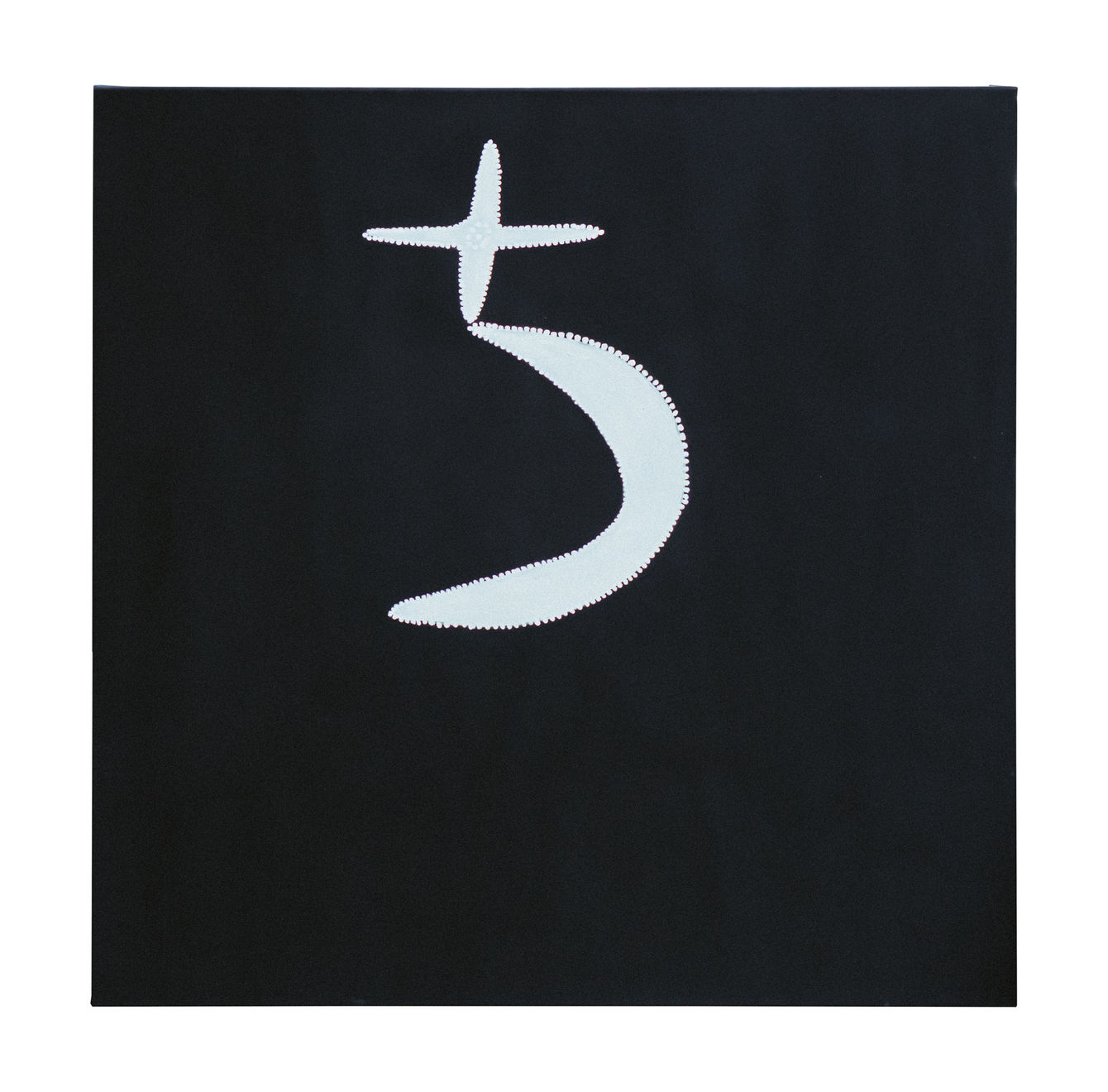 Mabel Juli, Garnkiny Ngarrangkarni (Moon Dreaming), 2019